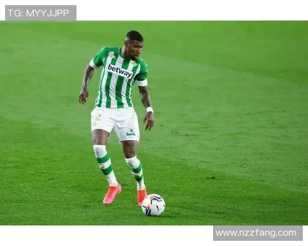 足球明星迪马尼奥的传奇旅程与辉煌成就全解析