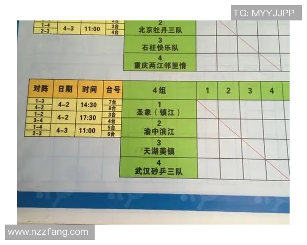重庆乒乓球队的速度之道:技术与训练的深度探讨与分析
